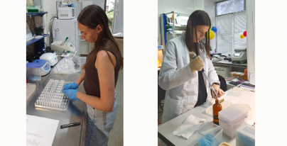 Поздравляем победителей конкурса 